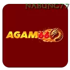 Agam66